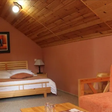 Shovkova Kositsya Hotel *