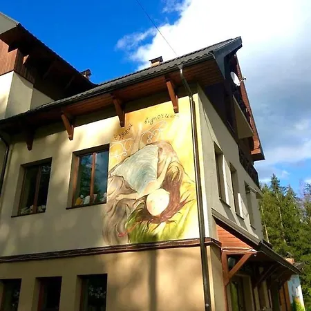 Hotel Shovkova Kositsya Yaremche