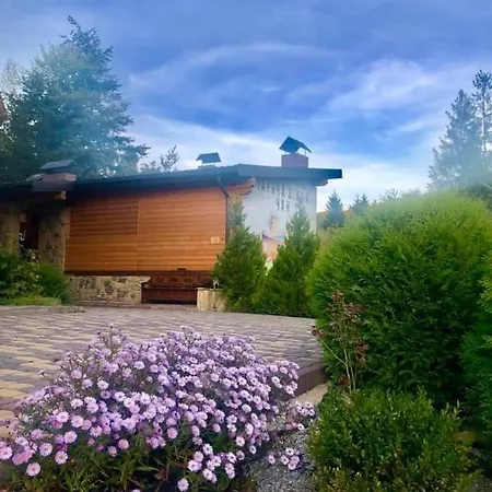 Shovkova Kositsya * ヤレムチャ