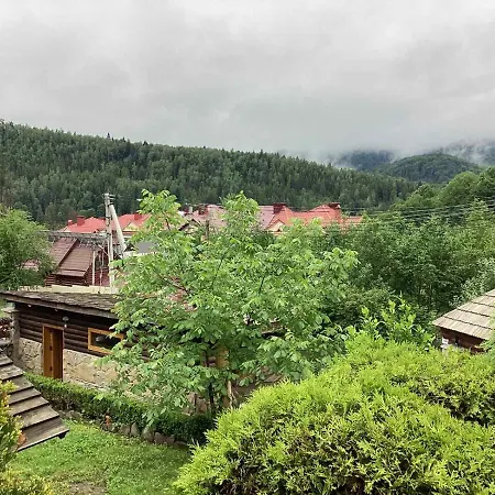 Shovkova Kositsya *