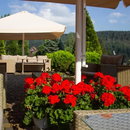 Shovkova Kositsya * Yaremche