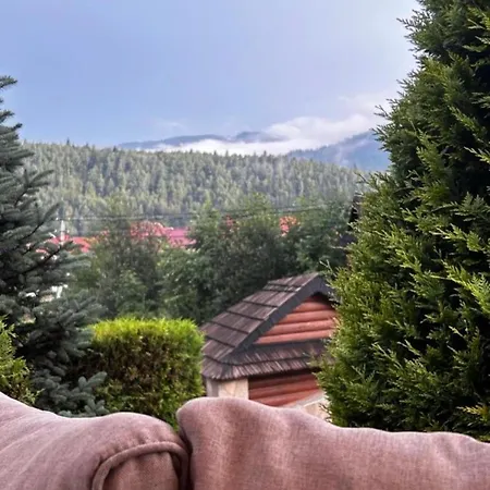 Shovkova Kositsya Jaremcse
