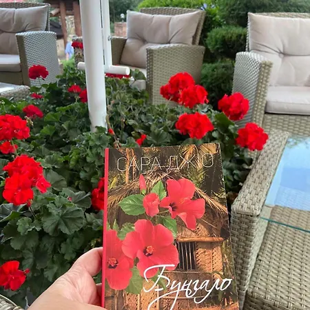 Shovkova Kositsya * ヤレムチャ