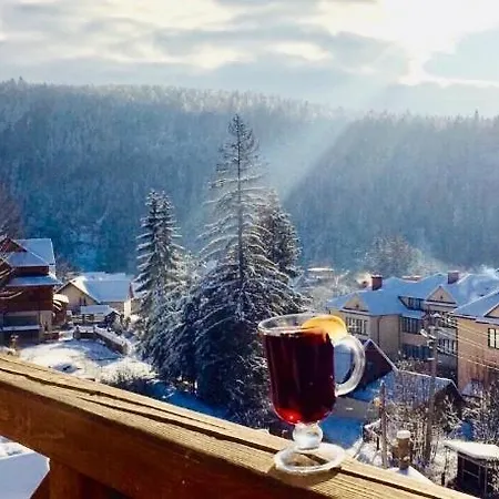 ホテル Shovkova Kositsya ヤレムチャ