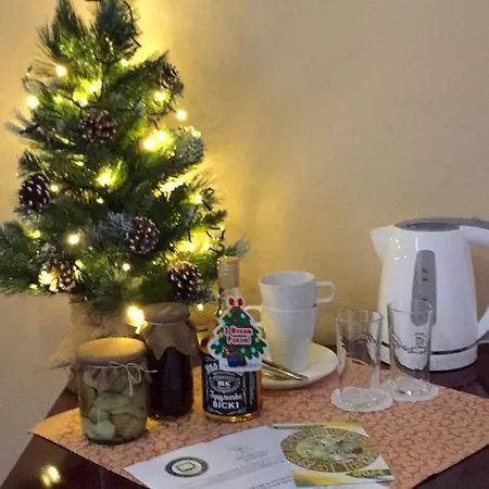 Shovkova Kositsya Yaremche