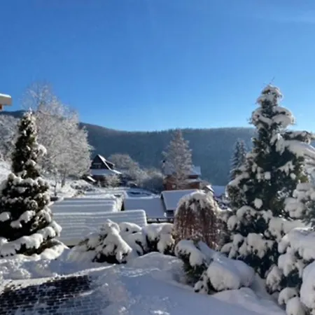 Hotel Shovkova Kositsya