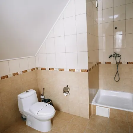 Hotel Shovkova Kositsya Yaremche