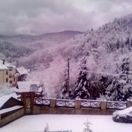 Shovkova Kositsya ヤレムチャ