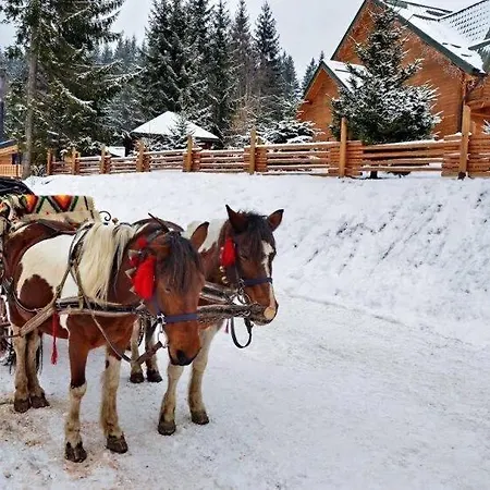 Szálloda Shovkova Kositsya Jaremcse