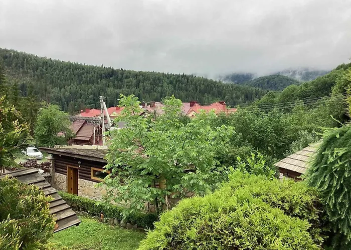 Shovkova Kositsya *