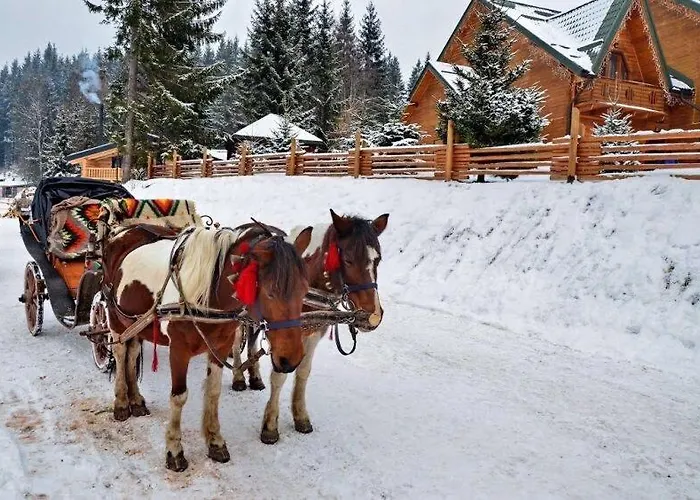 Отель Shovkova Kositsya Яремча